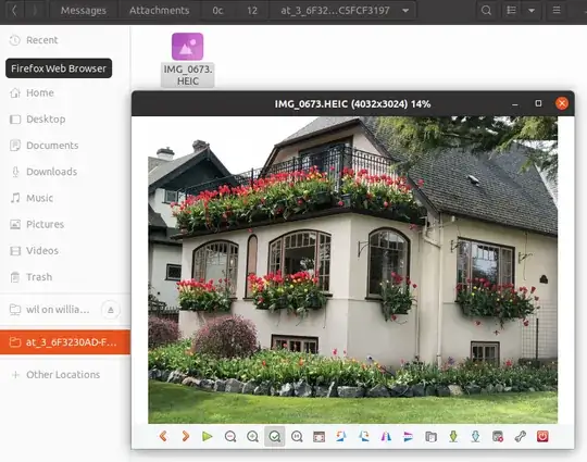 example of an HEIF image opened from the file manager