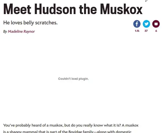 Picture of flash not loading