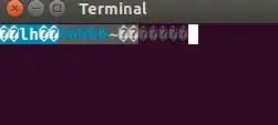 screenshot of strange symbols shown in terminal