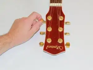 Guitar Nut