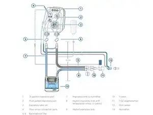 HAMILTON C-1 Bacterial Filter Replacement (Dual Limb Circuit Setup)