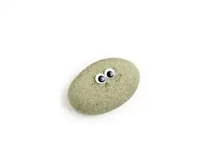 Pet Rock