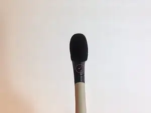 Microphone