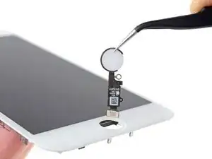 iPhone 8 Plus Home/Touch ID Sensor tauschen