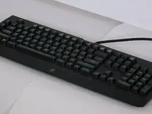 Razer BlackWidow Chroma Reparatur