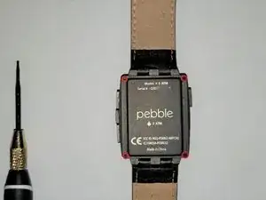 Pebble Steel Zebra Strip Replacement