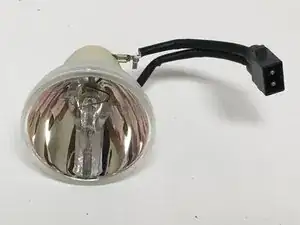 Bulb