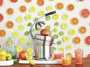 Breville 800CPXL Citrus Press Pro Juicer — Setup, Daily Use & Maintenance Techniques