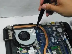 1XdgdOrnQtUxFtGP