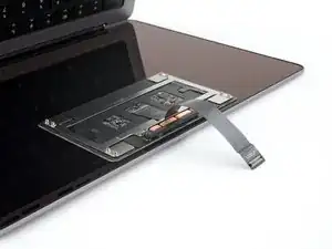 MacBook Pro 14" Ende 2023 (M3) Trackpad entfernen