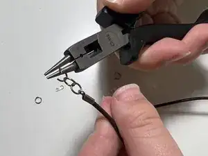 1brxIg1ov1JcMrpd