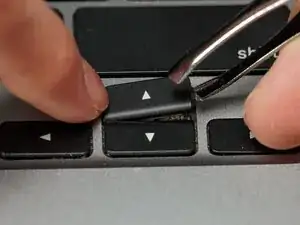 26rmJOJSLXViRDxY