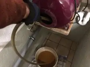 2ELGSHEFVSJIaTap