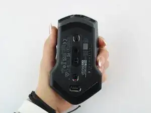 2fdMV4DSdfKBOBW2