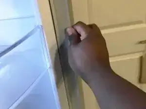 Refrigerator Door Seal