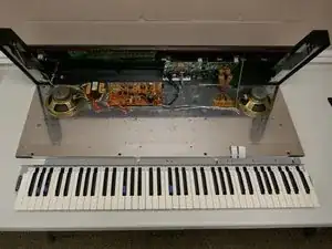 53wXFxBuuRUopA5W