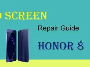 LCD Screen (Video)