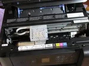 5OAdLqVcVpv6NWn3
