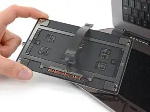 MacBook Pro 16"( 2023) Trackpad entfernen