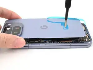 AM3dGajPFZp1m1tQ