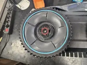 AxacJoBt2PLPlJFX