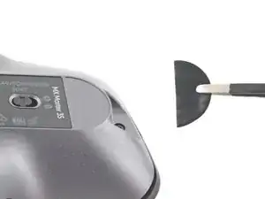 Mausfüße