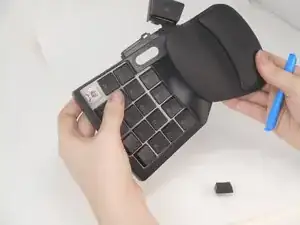 BrRPdXmKJkJj5YOS