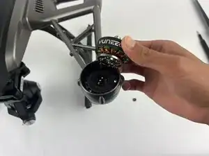 Motor