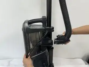 BvQ4STNLicWuBZNi