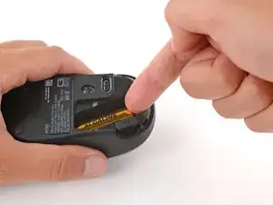 CoMTfLAm2XhSraUs