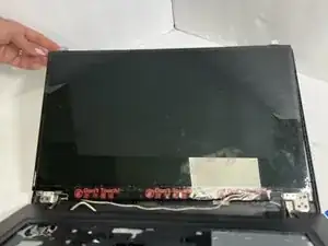 CuIvccvXv2ckeLOD