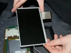 CuMVSHRigiZRdF5y