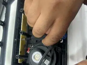 DJZNVrUaYXZEqCXY
