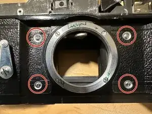DMp1tyo1DUXV3ttL