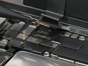 EYFMMsxtWa11UxZy