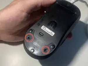 FL1dYgKdlJiASJKF