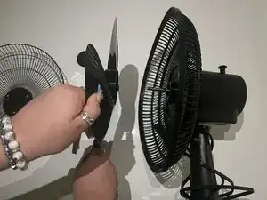 FdZ6Mw6yxORIeLW6