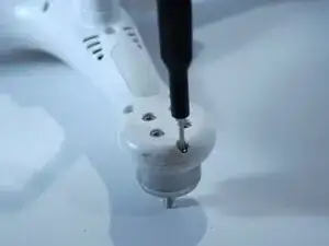 FnRCPaPYcNhrlqDh