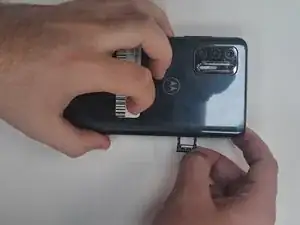 GOMiHZFwdZpWTYFM