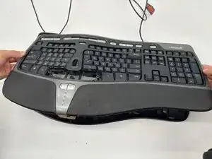 GaZg4wdtP1cCGDDn