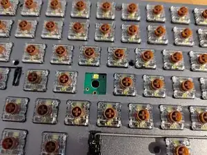 HedCPujBbuFRPaAt