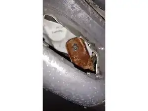 HvGNYwpAMeTAWL1v