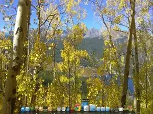 So machst du aus deinem HP Pavilion Chromebook ein Linuxlaptop