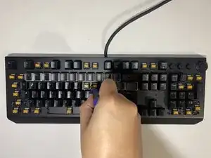 IKpGhUgAoSVLKqFD
