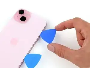 IQZwjFP1JaPPxsWJ