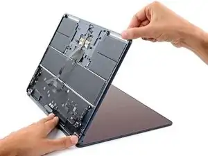 IZIU5oZHLBcUjBpN