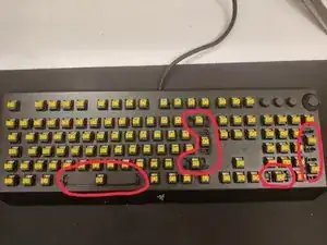 Razer Blackwidow Elite zerlegen