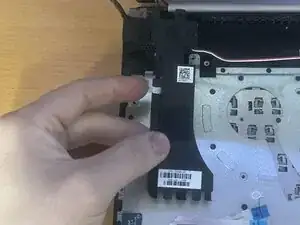 Speaker
