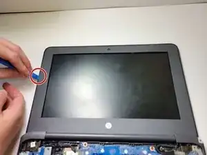 JtufGclXvmDgTRdq