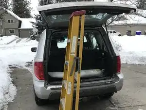 Rear Struts